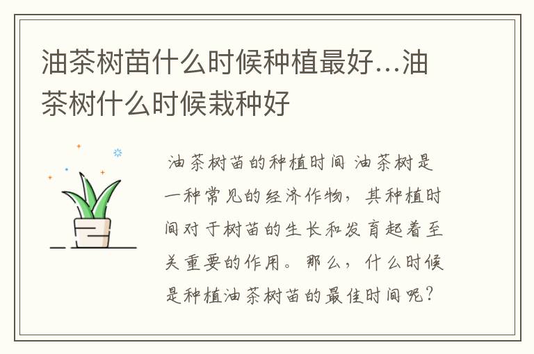 油茶树苗什么时候种植最好…油茶树什么时候栽种好