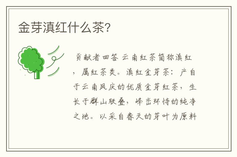 金芽滇红什么茶?