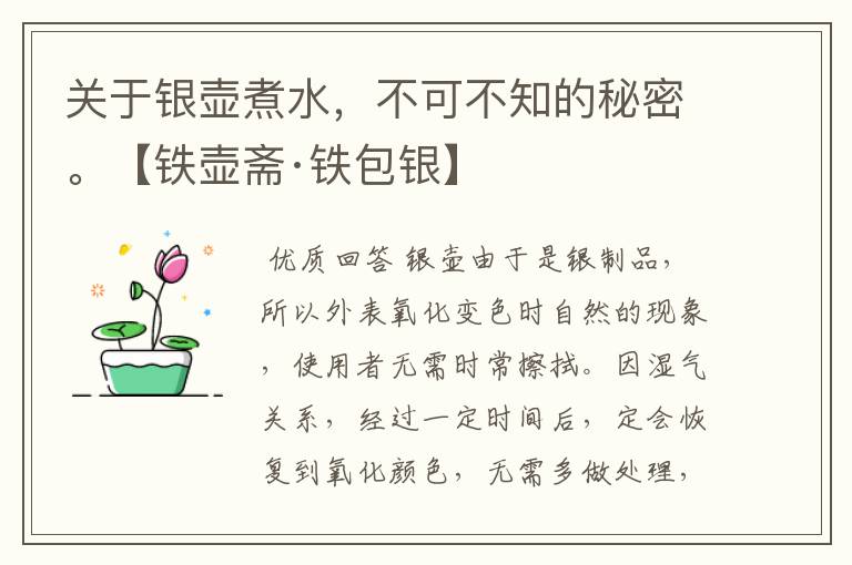 关于银壶煮水，不可不知的秘密。【铁壶斋·铁包银】