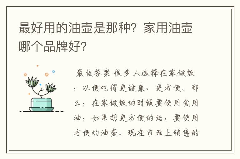 最好用的油壶是那种？家用油壶哪个品牌好？