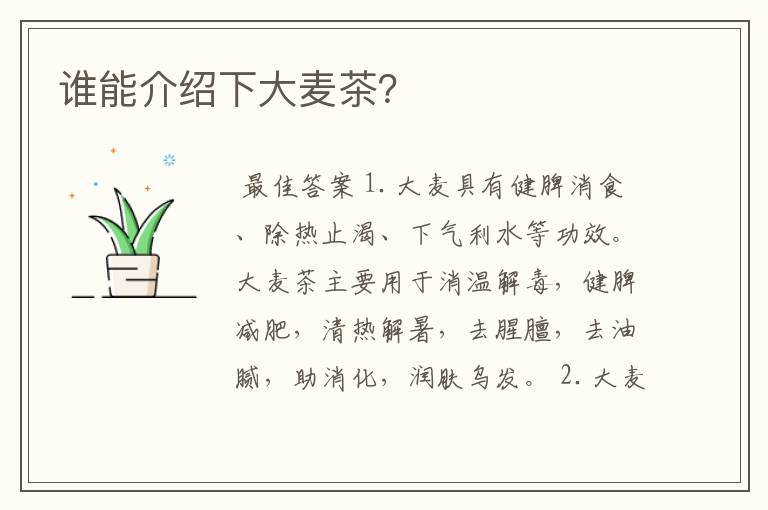 谁能介绍下大麦茶？