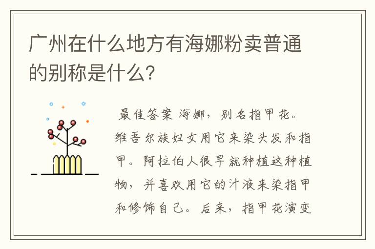 广州在什么地方有海娜粉卖普通的别称是什么？