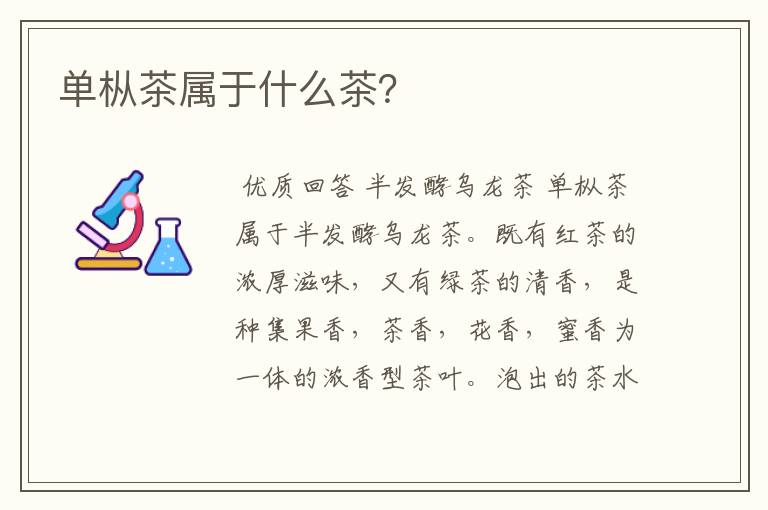 单枞茶属于什么茶？