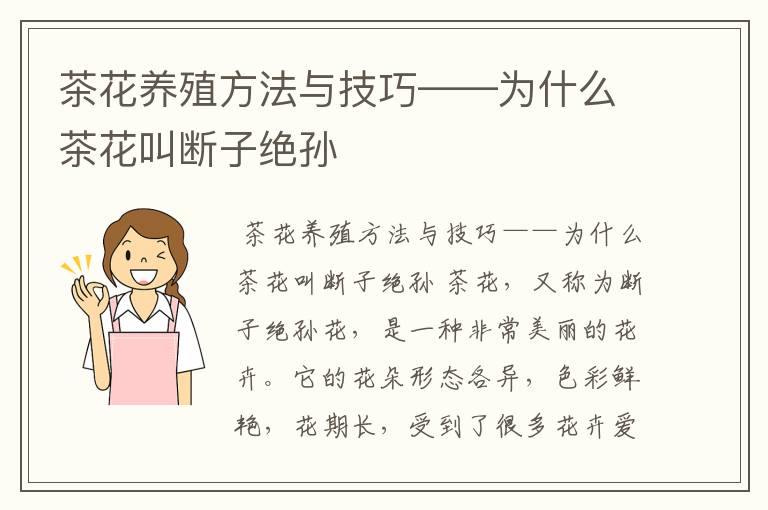 茶花养殖方法与技巧——为什么茶花叫断子绝孙